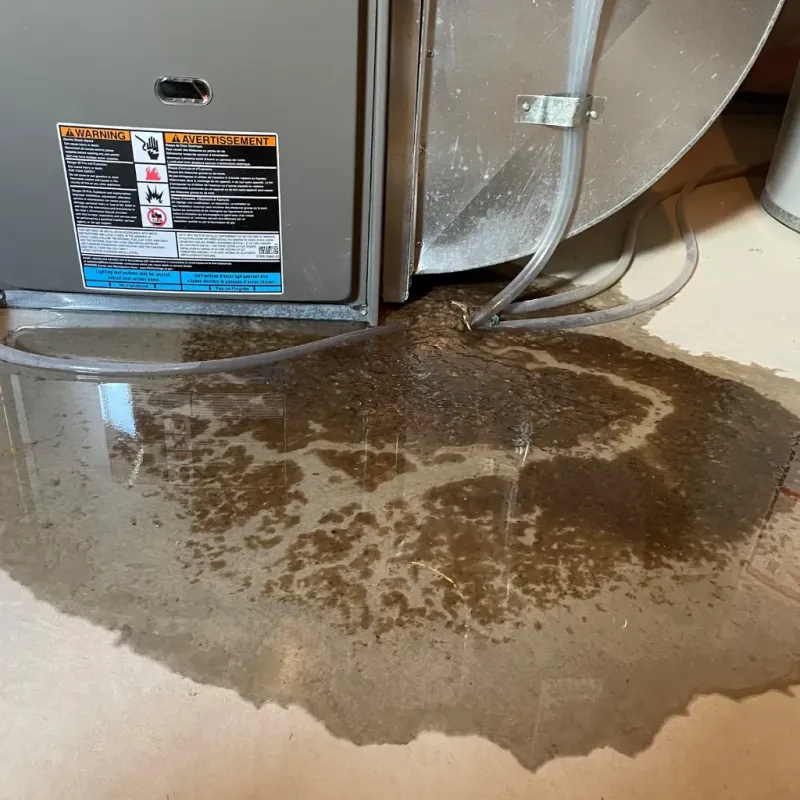 Appliance Leak Cleanup in Fleming County, KY